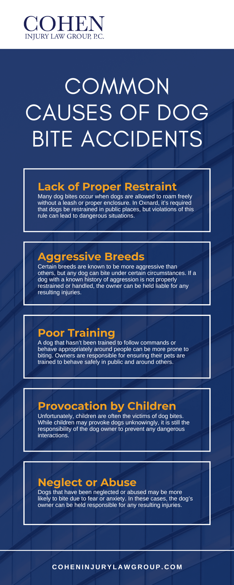 Common Causes of Dog Bite Accidents Infographic