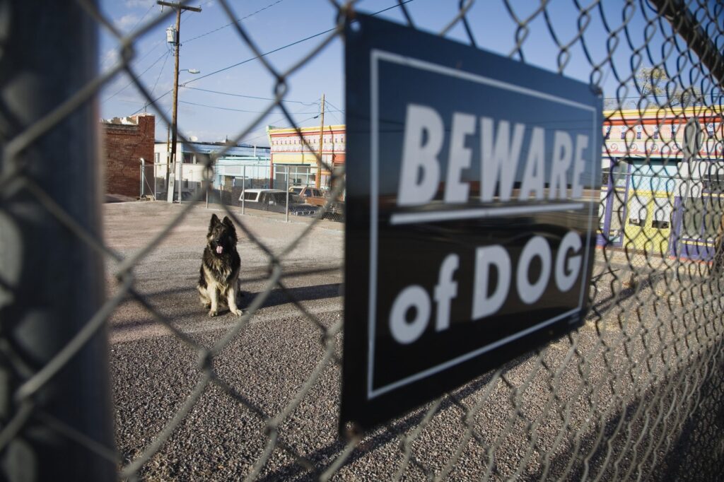 Dog Bite Lawyer Ventura, CA